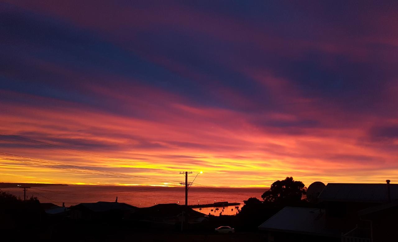 The Cottage Oamaru Buitenkant foto